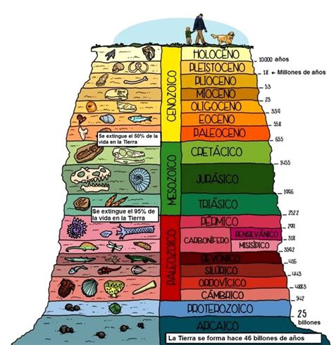 El Tiempo En La Historia De La Tierra Revista Ciencias De La Tierra