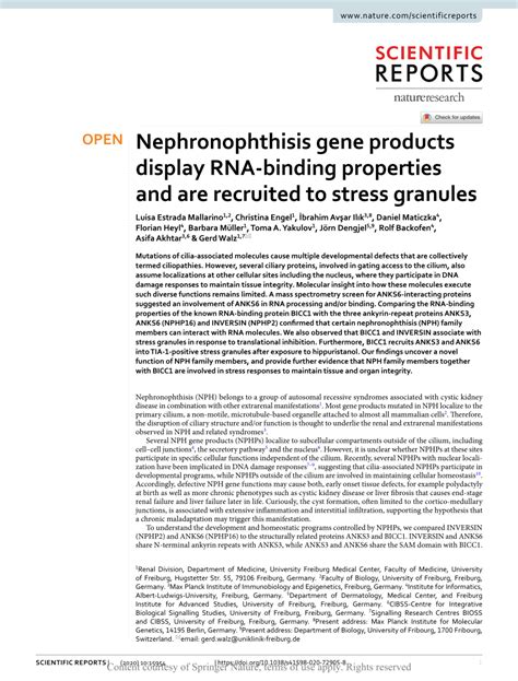 Pdf Nephronophthisis Gene Products Display Rna Binding Properties And