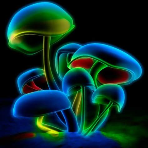 Free Download Neon Glowing Mushrooms Wallpaper 12383 1920x1080 For