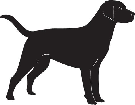 Dog Silhouette Vector