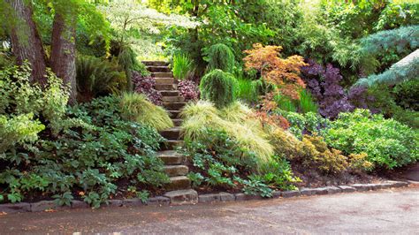 Trees cast different amounts of shade, depending on their species, their age and how they are pruned. Shade Garden Ideas - Sunset Magazine