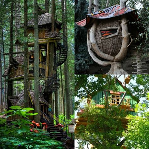 25 Awesome Kids Tree Houses Kids Activities Blog