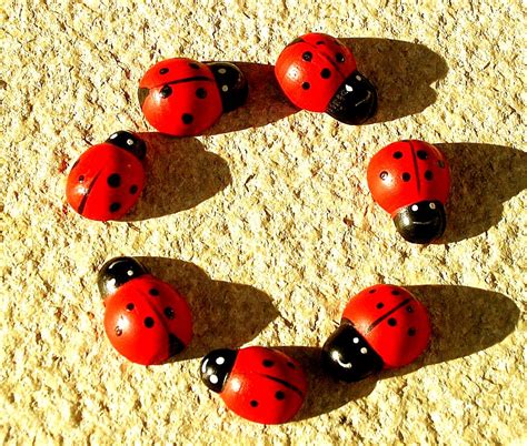 Ladybugs By Allineedislove On Deviantart