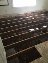 Photos of Hardwood Water Damage Repair