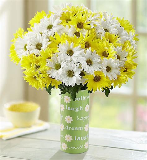 Yellow And White Daisy Bouquet Flower Delivery Mothers Day Flower