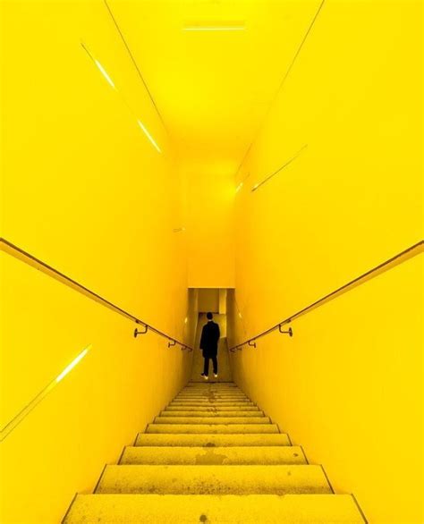 Pin by Mel Lourens on yellow | Yellow photography, Yellow aesthetic, Yellow wallpaper