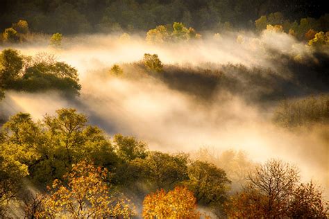 Autumn Mist Canada Landscape Mists Ancient Tree