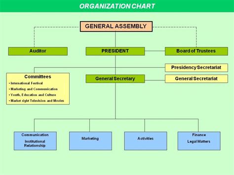 Organizational Chart Ficts