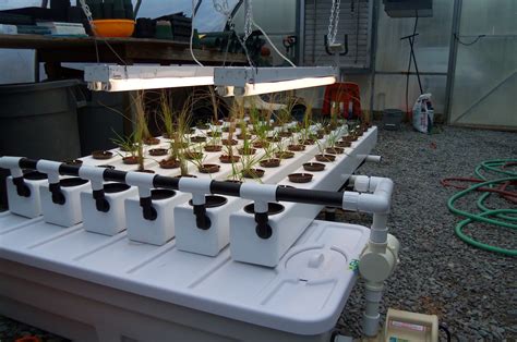 Growcleanwater Hydroponic System Setup