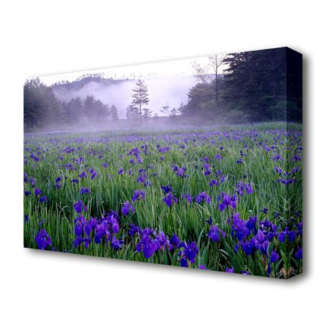 East Urban Home Bluebell Mist Forest Canvas Print Wall Art Uk