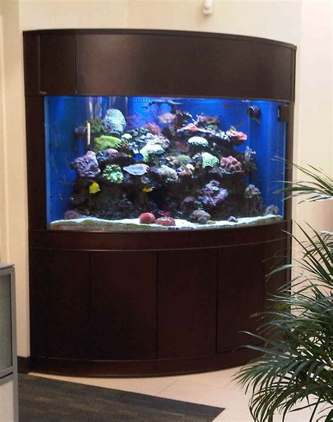 Captivating Corner Fish Tank Аквариумный стенд Тропические аквариумы