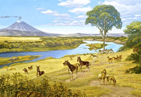 Several Species Of Fossil Horses In A Middle Miocene Epoch Landscape Of