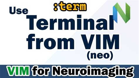 Set Up Neovim And Use Terminal VIM Tutorial For Neuroimaging