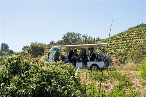 Benziger Named Top Winery Tour By Usa Today Readers Choice Benziger