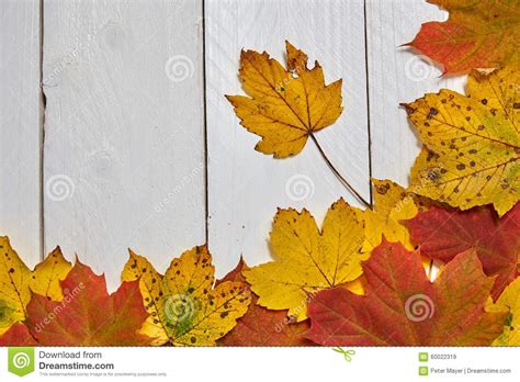 Leaves On Table Stock Image Image Of Board Colorful 60022319