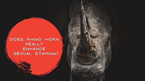 Does Rhino Horn Really Enhance Sexual Stamina YouTube