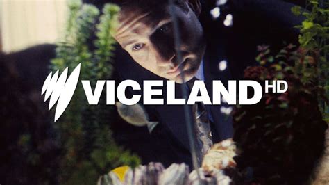 How To Watch Sbs Viceland Sbs Whats On