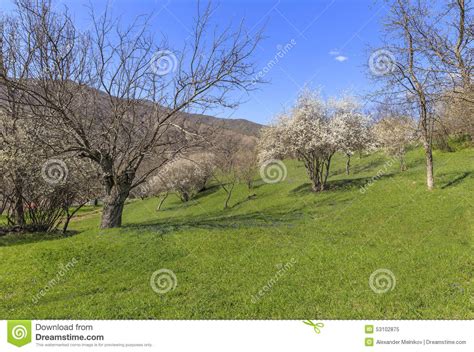 Spring In The Mountains Near The Village Of Lahij Azerbaijan Stock