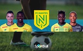 Plantilla del Nantes 2019-2020 y análisis de los jugadores
