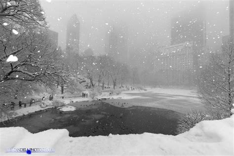 Photo Entry Central Park Winter