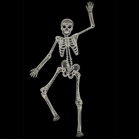 Free Standing Skeleton 12513900