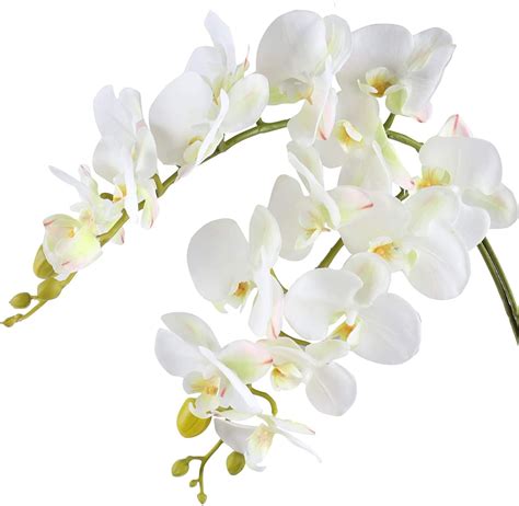 Pcs Artificial Orchid Stems Real Touch Phalaenopsis Orchids Etsy