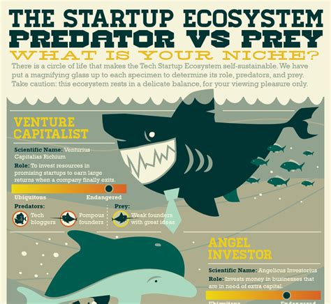 startup ecosystem predators  prey
