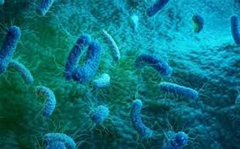 New Method Using Viruses To Kill Bacteria May Help Fight Antibiotic
