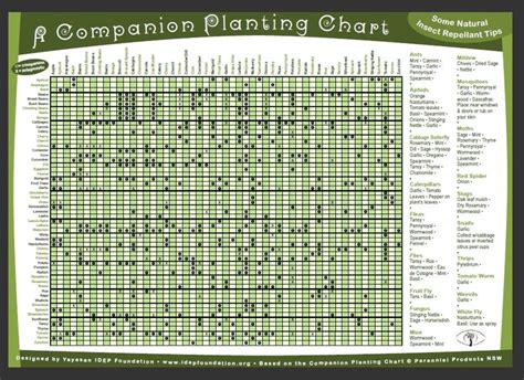 Companion Planting Chart Companion Planting Guide Companion Planting