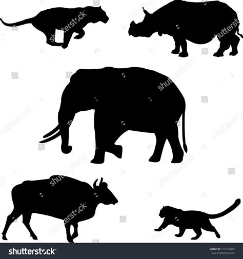 Five Big Wild Beasts India Elephant Stock Vector Royalty Free