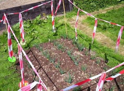 Life Longfield 2006 Vegetable Garden