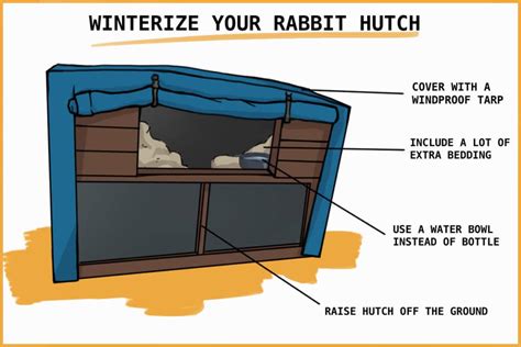 Rabbits In Winter How To Keep Your Rabbit Warm And Prevent Hypothermia