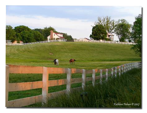 Virginia Horse Farm Art Print Landscape Gallery Farm Art Horse