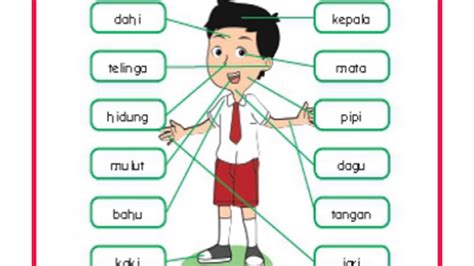 26 gambar mewarnai terbaru untuk anak tk paud sd. Contoh Soal Psikotes Anak Sd Kelas 6