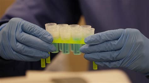 Impact Of Testing In Reopening Us Economy Amid Coronavirus Pandemic