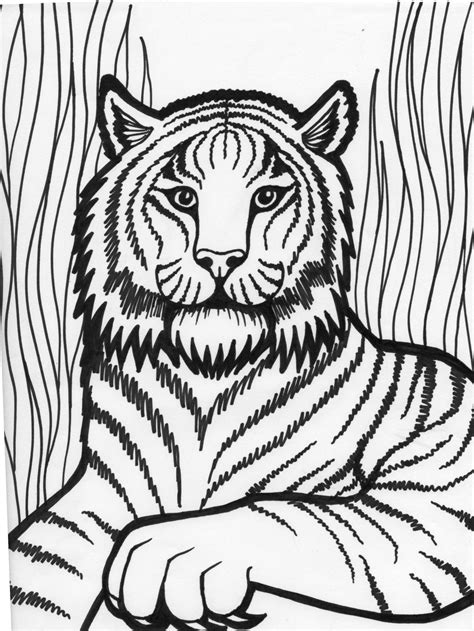 Use the black lines as a guide and have fun making the coloring pages look bright and beautiful. Tiger Face Outline Drawing at GetDrawings | Free download