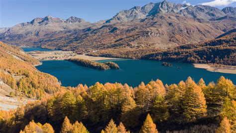 Autumn When Gold Is In Season Engadin Switzerland