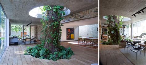 Combination Of Architecture And Nature Creative “tree House” Around