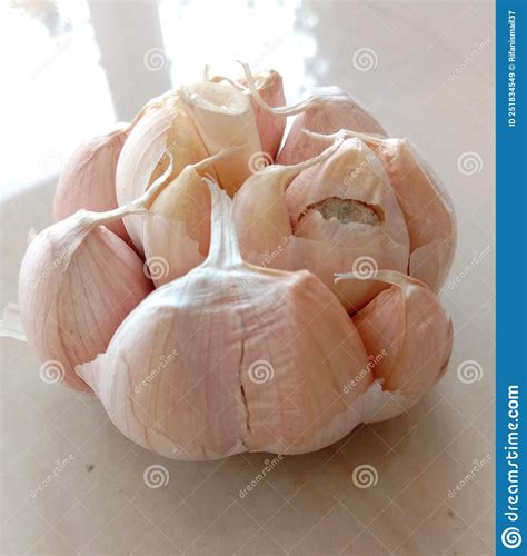One Clove Of Fresh Garlic Stock Image Image Of Garlic 251834549