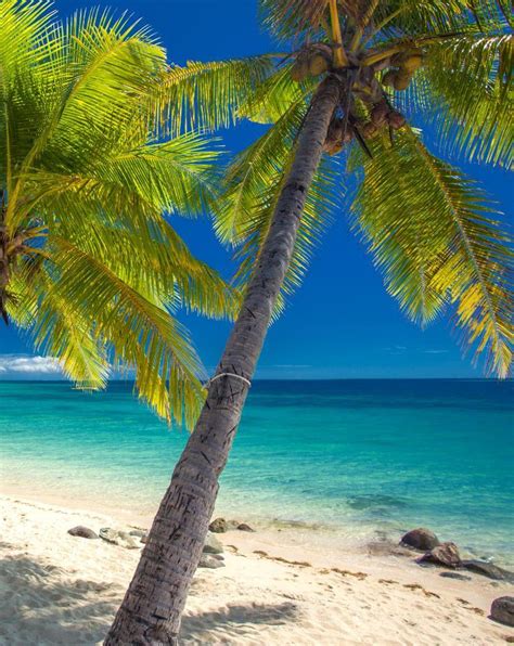 Tropical Beach Wallpaper Apk For Android Download