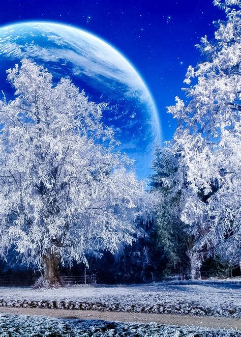 145 Best Moon Snow Scene Images On Pinterest Winter Snow Winter