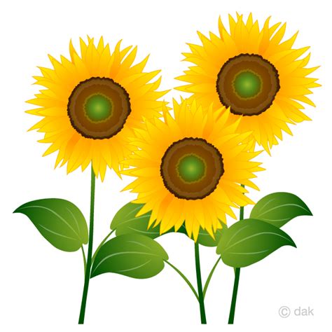 Clipart Sunflowers 10 Free Cliparts Download Images On Clipground 2023