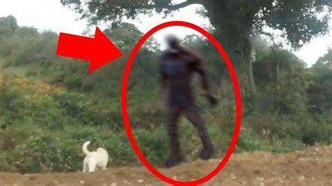 5 Scary Things Caught On Camera And In Real Life Bigfoot