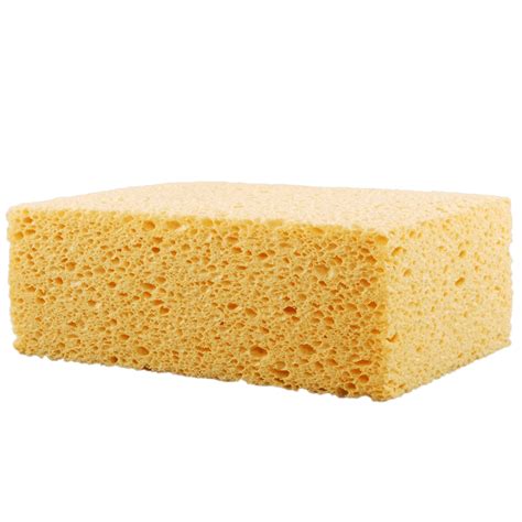 Washing Sponge Png