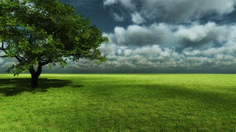 Download Horizon Sky Cloud Field Grass Landscape Nature Tree Hd Wallpaper