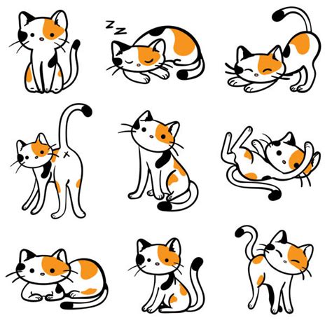 2200 Calico Cat Illustrations Royalty Free Vector Graphics And Clip