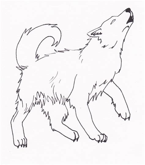Wolf dog breeds under 40 lbs. Wolf Pups Drawing at GetDrawings | Free download