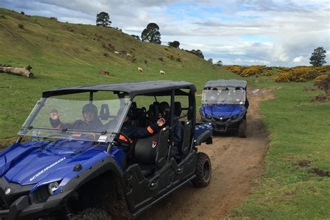 Tripadvisor Off Road 4wd Buggy Abenteuer Aus Rotorua Zur Verfügung
