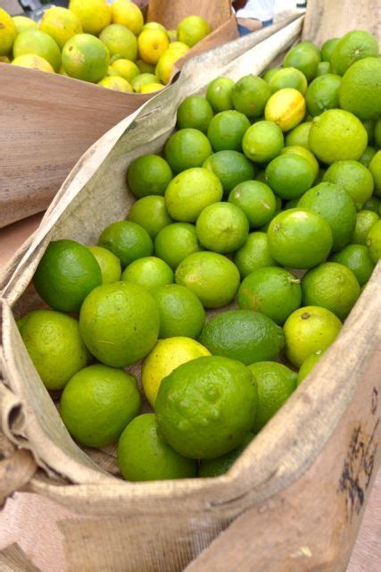 Check spelling or type a new query. Zingy limes in banana-leaf buckets, Dominican Republic ...