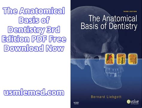 The Anatomical Basis Of Dentistry 3rd Edition Pdf Free Download Direct